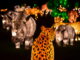 Start off the new year this January with a visit to ‘Glow Wild: An Animal Lantern Celebration’