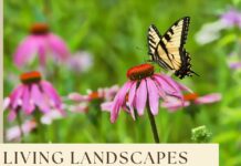 North Alabama Agriplex offering new educational program Living Landscapes for Wildlife in January