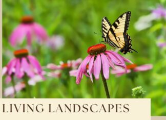 North Alabama Agriplex offering new educational program Living Landscapes for Wildlife in January