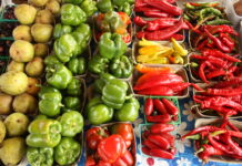 Growers permit cuts costs for farmers