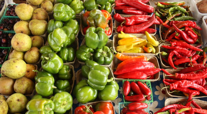 Growers permit cuts costs for farmers