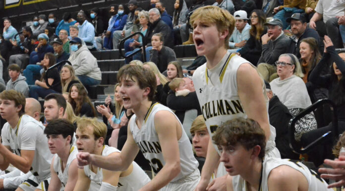 PREP BASKETBALL: Cullman punches ticket to NW Regional with 68-50 win over Clay-Chalkville