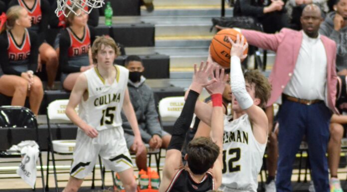 PREP BASKETBALL: Bearcats down Decatur 66-35 to advance to area championship