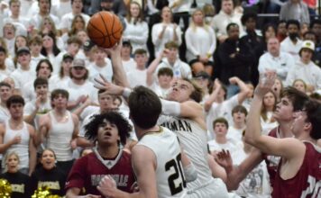 PREP BASKETBALL: Bearcats fend off Hartselle 64-48 to win area title