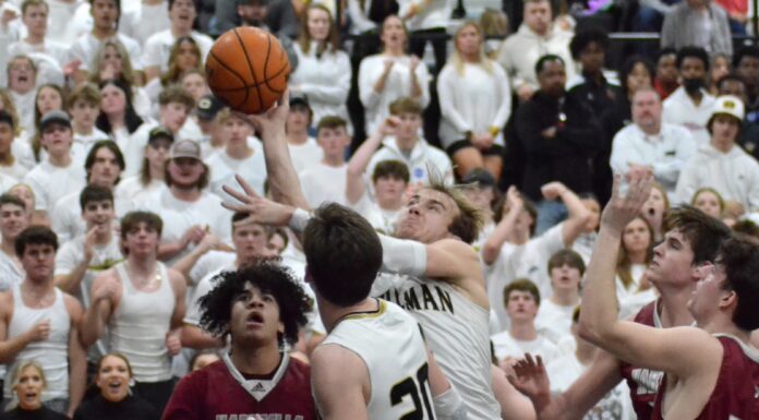 PREP BASKETBALL: Bearcats fend off Hartselle 64-48 to win area title