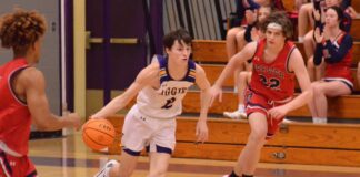 PREP BASKETBALL: Fairview Aggies, Lady Aggies handle Brewer to advance to area championship games