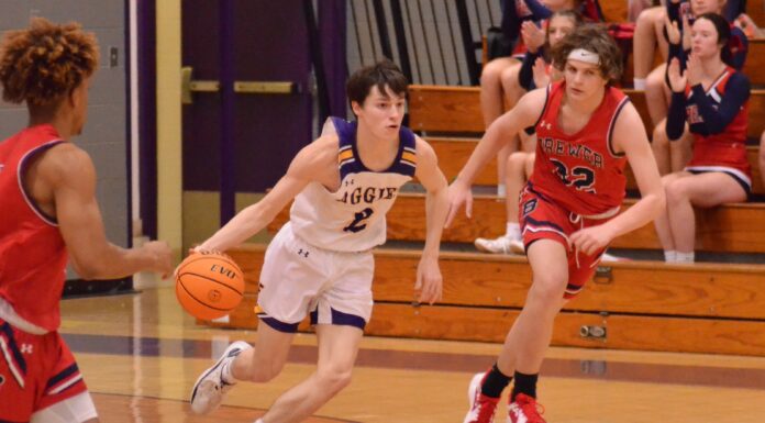 PREP BASKETBALL: Fairview Aggies, Lady Aggies handle Brewer to advance to area championship games