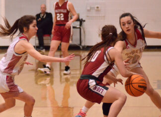 PREP BASKETBALL: Lady Raiders top Haleyville 69-33 in Sub-Regional to advance to NW Regional