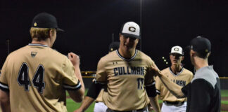 PREP BASEBALL: ‘Cats collect 2-0 win over Madison Academy