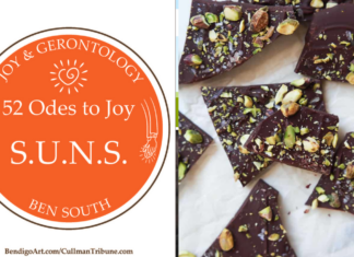 52 ODES TO JOY: S.U.N.S.