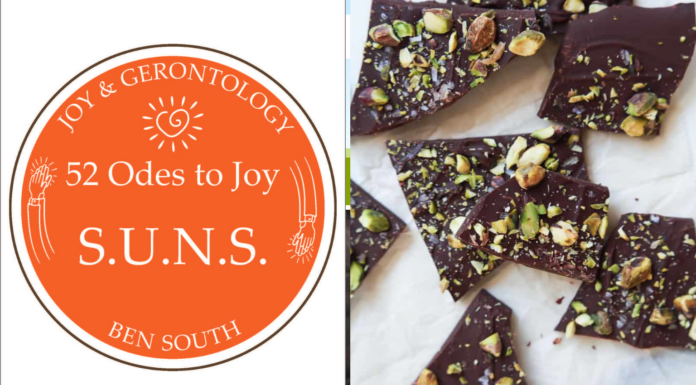 52 ODES TO JOY: S.U.N.S.