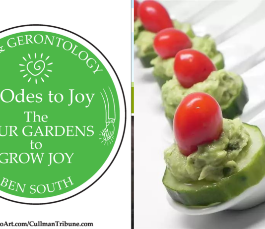 52 ODES TO JOY: THE FOUR GARDENS to GROW JOY