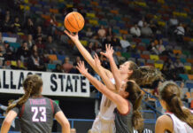 PREP BASKETBALL: No. 2 Good Hope falls to No. 1 Deshler 46-38 in NW Regional Finals