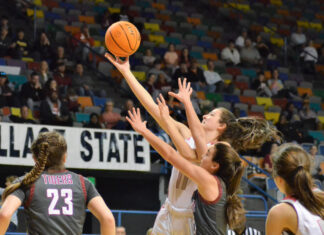 PREP BASKETBALL: No. 2 Good Hope falls to No. 1 Deshler 46-38 in NW Regional Finals