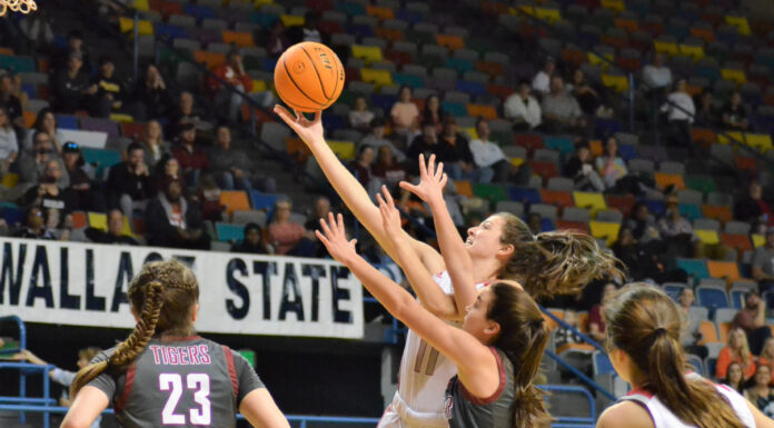 PREP BASKETBALL: No. 2 Good Hope falls to No. 1 Deshler 46-38 in NW Regional Finals