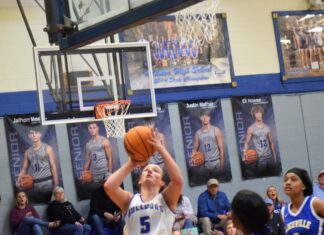 PREP BASKETBALL: Addison handles Aliceville 47-35 to advance to NW Regional for 1st time since 2006