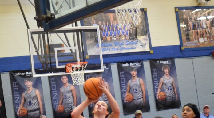 PREP BASKETBALL: Addison handles Aliceville 47-35 to advance to NW Regional for 1st time since 2006