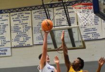 PREP BASKETBALL: Cold Springs falls to Aliceville in Sub-Regional 53-50