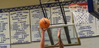 PREP BASKETBALL: Cold Springs falls to Aliceville in Sub-Regional 53-50