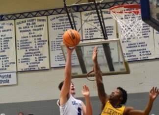 PREP BASKETBALL: Cold Springs falls to Aliceville in Sub-Regional 53-50