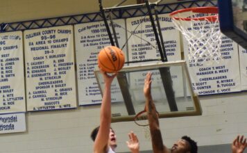 PREP BASKETBALL: Cold Springs falls to Aliceville in Sub-Regional 53-50