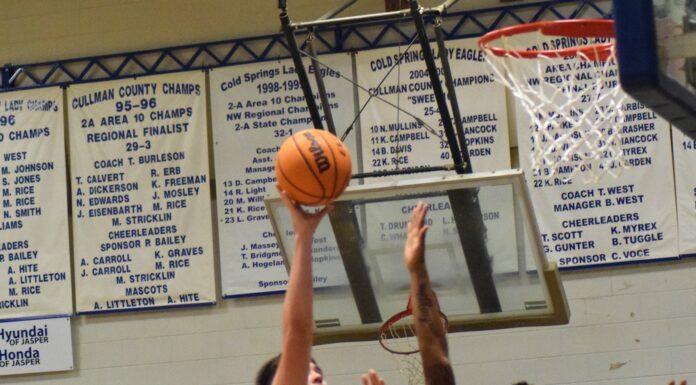 PREP BASKETBALL: Cold Springs falls to Aliceville in Sub-Regional 53-50