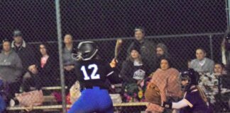 PREP SOFTBALL: Nichols’ walk-off lifts Cold Springs over Fairview 7-6 in extra innings