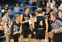 PREP BASKETBALL: Cullman pulls away to top Scottsboro 75-58 and advance to 1st Final 4 in 90 years