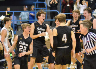 PREP BASKETBALL: Cullman pulls away to top Scottsboro 75-58 and advance to 1st Final 4 in 90 years