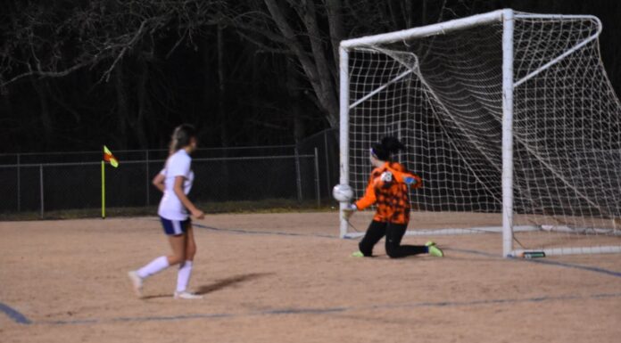 PREP SOCCER: Lady Saints shut out West Limestone 3-0, Saints tie Wildcats 1-1