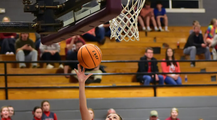 PREP BASKETBALL: West Point falls to Lawrence County in area title game 52-45
