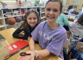 Not-so-creepy crawlies