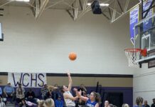 PREP BASKETBALL: Addison advances to area finals with 44-16 win over Cold Springs