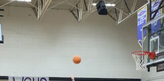 PREP BASKETBALL: Addison advances to area finals with 44-16 win over Cold Springs