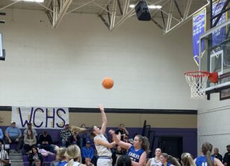 PREP BASKETBALL: Addison advances to area finals with 44-16 win over Cold Springs