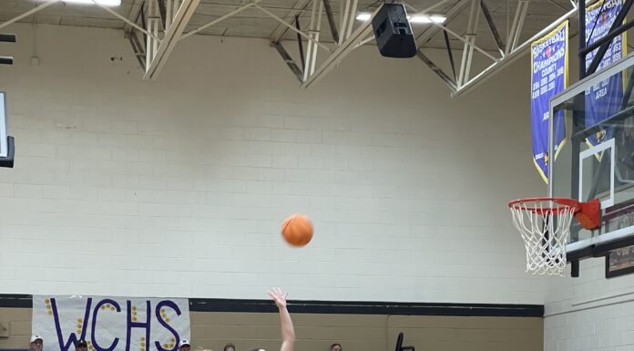 PREP BASKETBALL: Addison advances to area finals with 44-16 win over Cold Springs