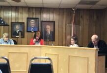 South Vinemont Town Council approves additional streetlights on Hwy 31