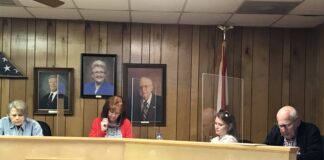 South Vinemont Town Council approves additional streetlights on Hwy 31