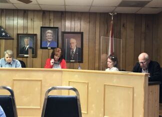 South Vinemont Town Council approves additional streetlights on Hwy 31