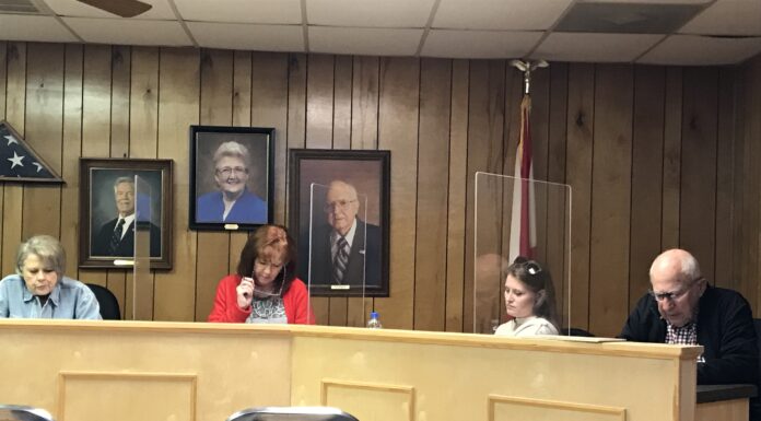 South Vinemont Town Council approves additional streetlights on Hwy 31