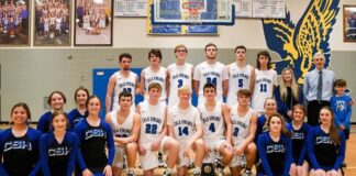 PREP BASKETBALL: Cold Springs tops Addison 62-40 to capture area championship