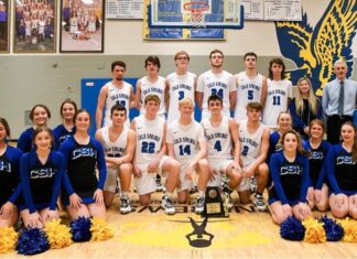 PREP BASKETBALL: Cold Springs tops Addison 62-40 to capture area championship