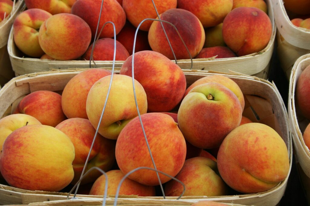Alabama peach season to blossom or bust? The Cullman Tribune