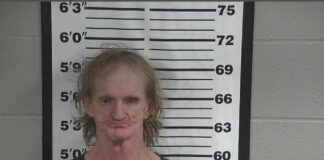 Falkville man arrested in Cullman County on drug-related charges