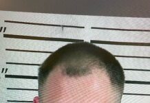 Vinemont man arrested for drug trafficking