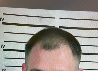 Vinemont man arrested for drug trafficking