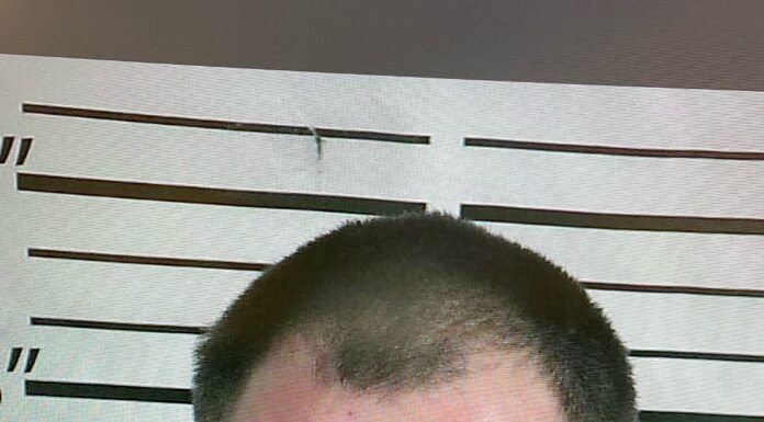 Vinemont man arrested for drug trafficking