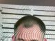 Vinemont man arrested for drug trafficking