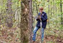 Planting a seed for an agricultural career