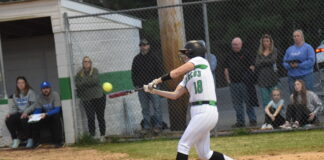 PREP SOFTBALL: Arab tops Holly Pond on the road 5-2